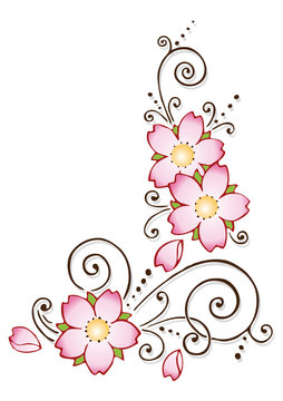 fiori rosa