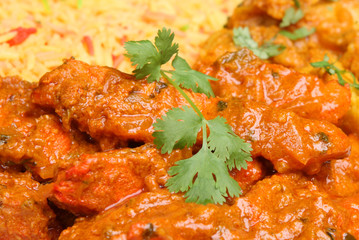 Hot Indian Chicken Curry