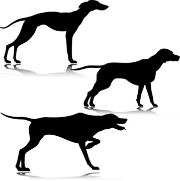 three black dog vector silhouettes