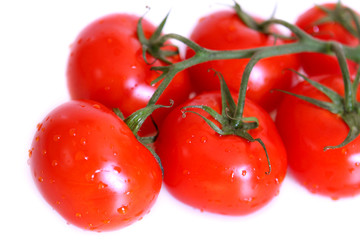Tomaten