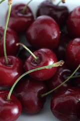 Kirschen auf weiss