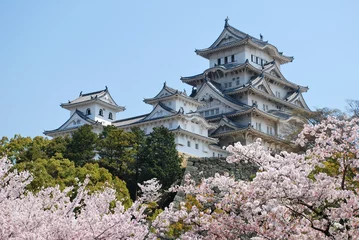 Peel and stick wall murals Japan Himeji Castle during cherry blossom