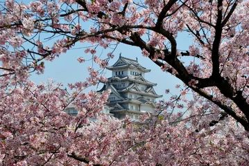 Fotobehang Japan Kasteel Himeji tijdens kersenbloesem
