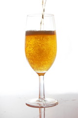 beer