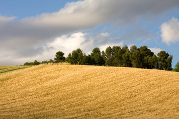 Obraz premium Paesaggio italiano
