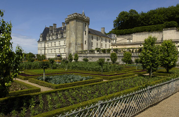 France, château de Villandry, jardin à la française