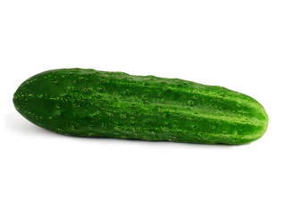 Cucumber