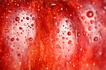 beautiful close up apple