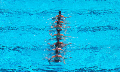 Synchronized Swimming Team