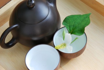 chinese tea set with herb
