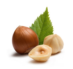 Hazelnut and green leaves