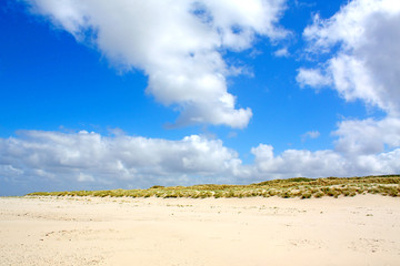 Dünenlandschaft
