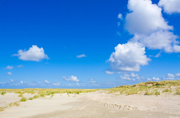 Fototapeta na wymiar Dunes