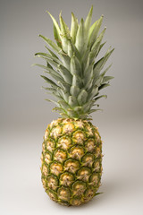 Pineapple whole
