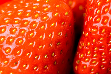 Erdbeeren