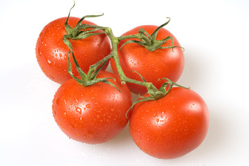 Red tomatoes on the vine