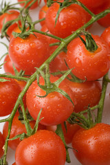 Cherry Tomatoe on the Vine