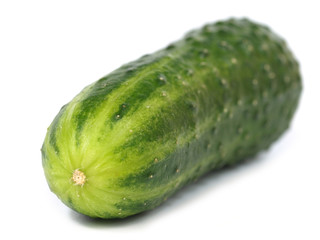 Cucumber - shallow DOF