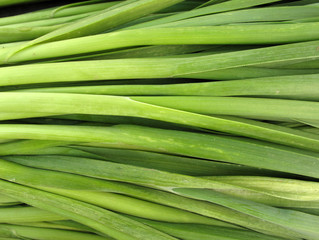 Scallion green spring onion leaves
