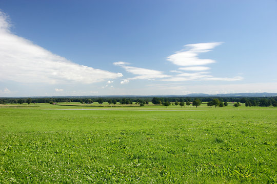 Landwirtschaftliche Wiesen in Oberbayern.