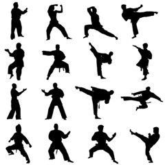 fighter set © sabri deniz kizil