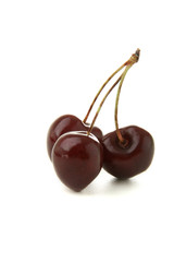 cerises sur fond blanc