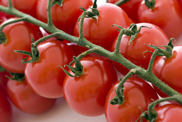 Tomaten