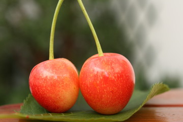 cherries