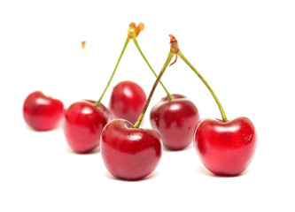 cherries against white background