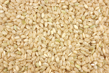 Organic short brown rice