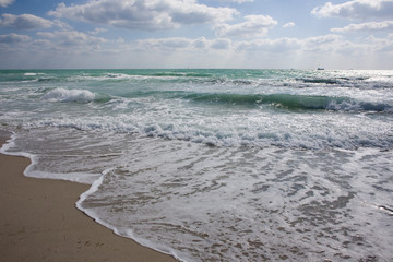 surf