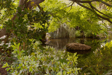 Hidden Garden Capitol Park
