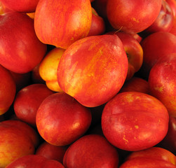 Nectarines