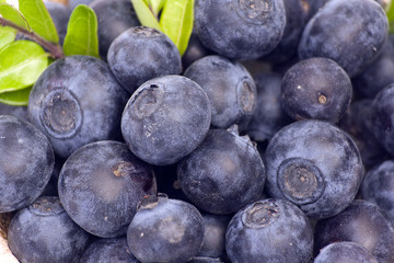 blueberries