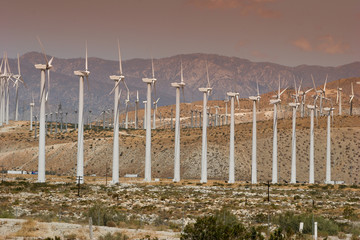 Champs d'éoliennes,Palm Springs,California_USA