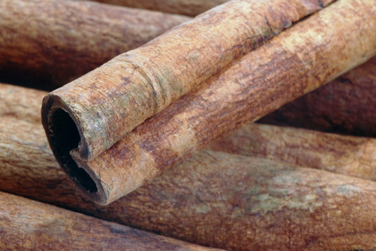B&acirc;ton de cannelle