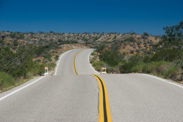 Route de Joshua tree Park_USA