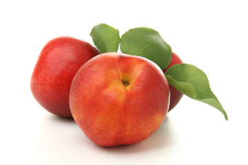 nectarine, fruits rouge, sur fond blanc