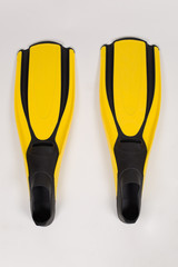 Naklejka premium Flippers pair
