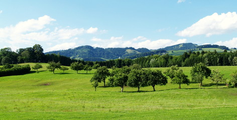 Fototapeta na wymiar Swiss wiejskich