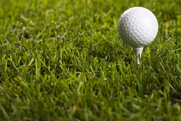 Golf ball on tee in grass