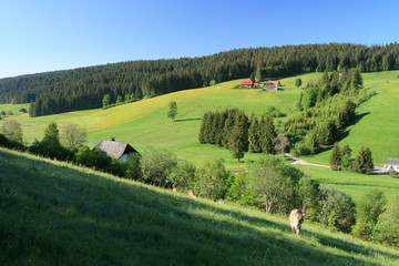 Vallée de l'Ordnach au Schneeberg