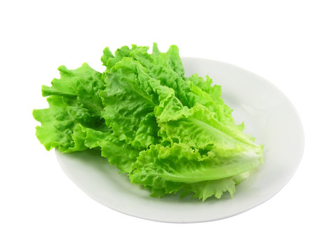 Leaf of lettuce on white plate  .Isolated