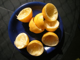 Zitronenschale