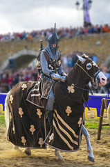 Guerrero medieval  a caballo