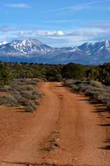 Mountain road in forest near La Sal mountains in Utah