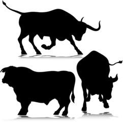 three bull vector silhouettes
