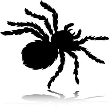 tarantula vector silhouettes