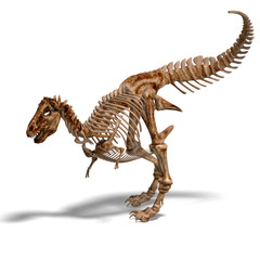 Fototapeta na wymiar T-Rex Skeleton