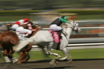 Abstract Motion Blur Horse Race